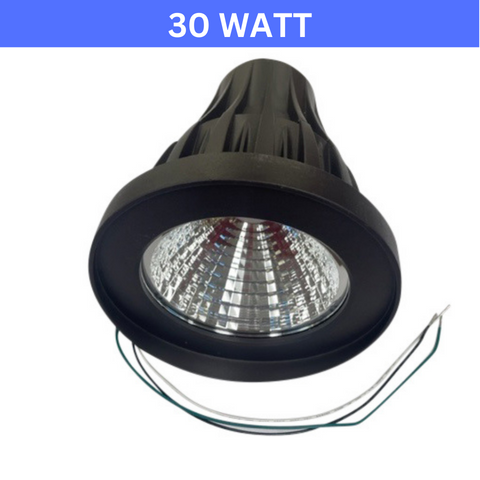 30W LED Flagpole-Mounted Light